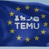 Vendita prodotti illegali: multa di 200 milioni di euro a Temu