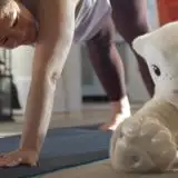 Dai Roomba ai cani robot: è nata Familiar Machines & Magic