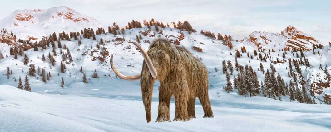 Le ossa conservate in un museo per 70 anni non sono di un mammut