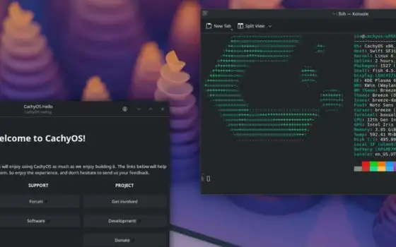 La distro Linux che batte Windows 11 nel gaming migliora Python