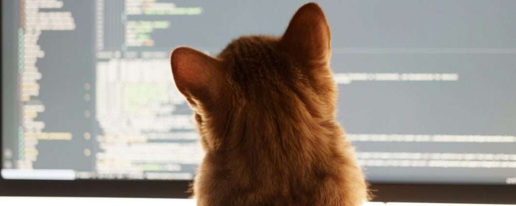 Linus Torvalds contro i bug report generati dall’AI: "Stanno rallentando lo sviluppo di Linux"