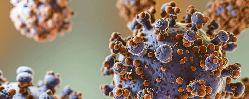 Hantavirus: boom di ricerche online, le fonti affidabili per informarsi