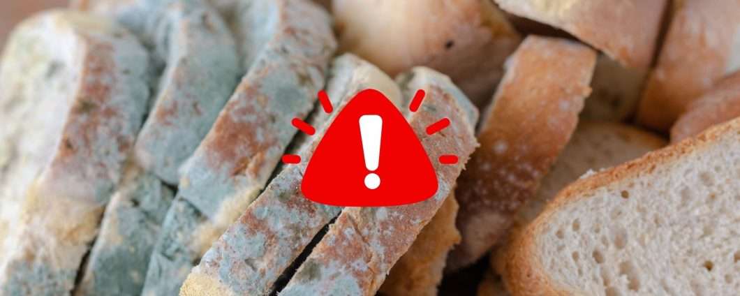 Scopri quando devi buttare il cibo vecchio secondo la scienza