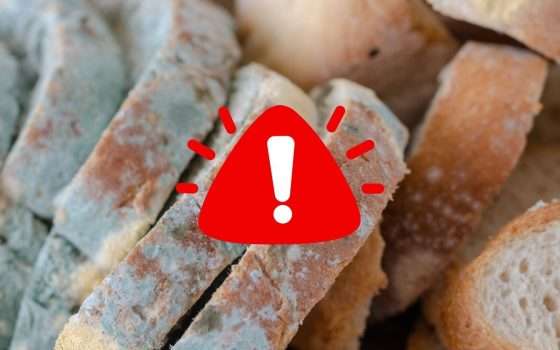 Scopri quando devi buttare il cibo vecchio secondo la scienza