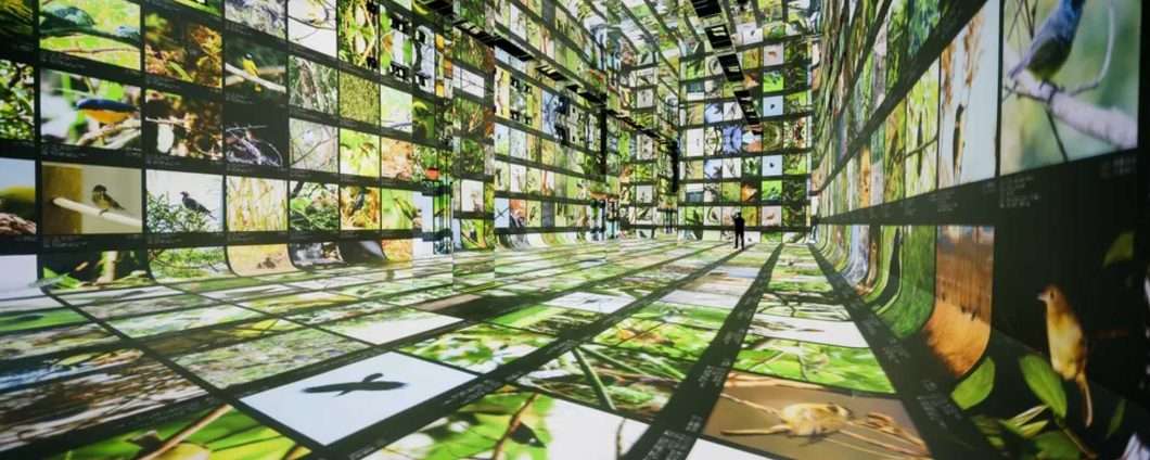 Google apre il primo museo di arte AI al mondo: Dataland