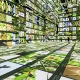 Google apre il primo museo di arte AI al mondo: Dataland