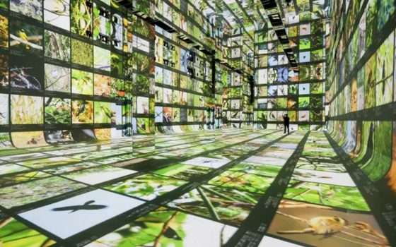 Google apre il primo museo di arte AI al mondo: Dataland
