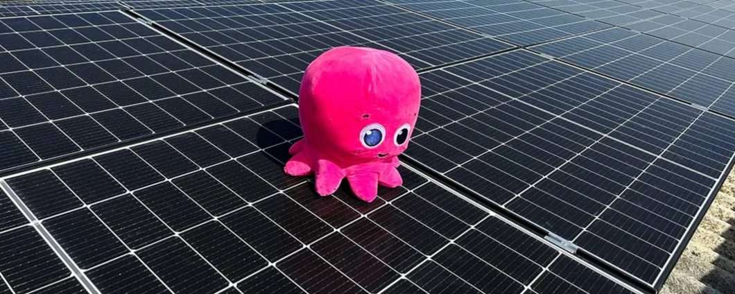 Prezzo fisso o indicizzato: scopri come risparmiare sulle bollette con Octopus
