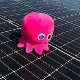 Prezzo fisso o indicizzato: scopri come risparmiare sulle bollette con Octopus