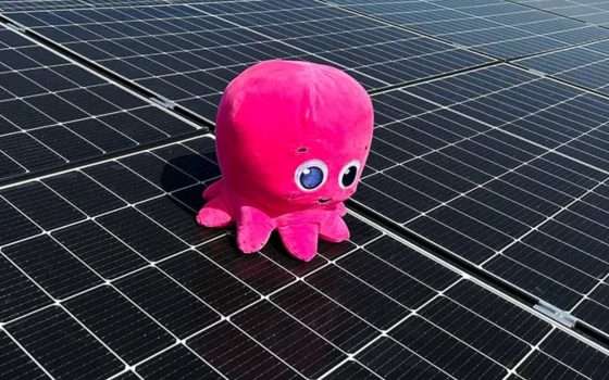 Prezzo fisso o indicizzato: scopri come risparmiare sulle bollette con Octopus