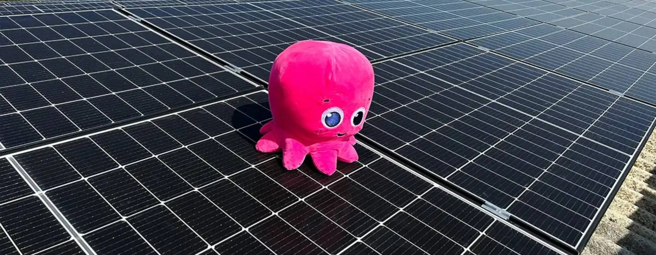 prezzo-fisso-o-indicizzato-scopri-come-risparmiare-sulle-bollette-con-octopus