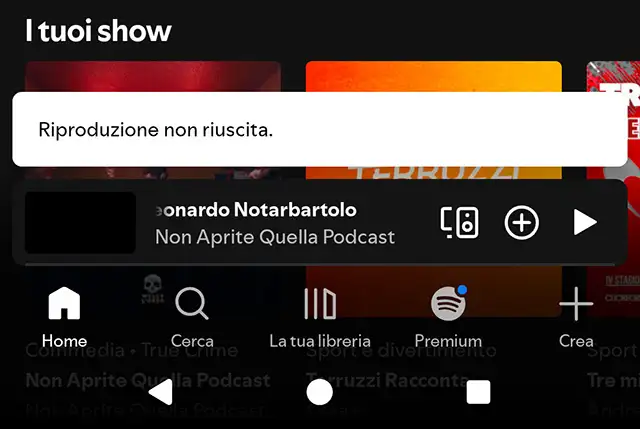 Il messaggio di errore mostrato da Spotify durante il down