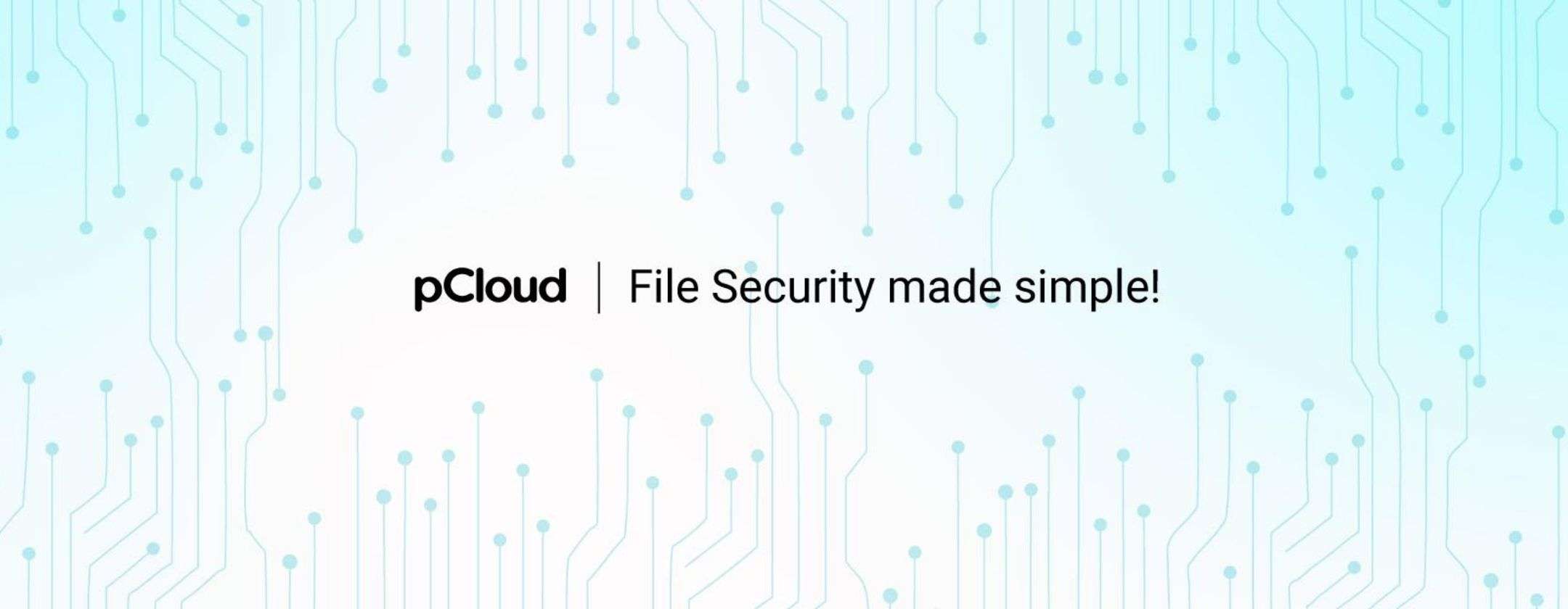 Stop ai costosi abbonamenti! Scegli pCloud, lo spazio cloud che paghi una volta