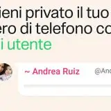 WhatsApp: username al posto del numero di telefono, come si prenota