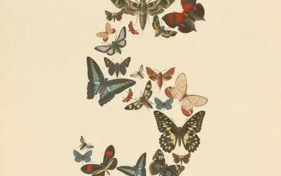 Anthropic ripristina Fable 5 e annuncia Sonnet 5