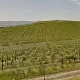 Se riconosci questa collina, probabilmente hai più di 40 anni