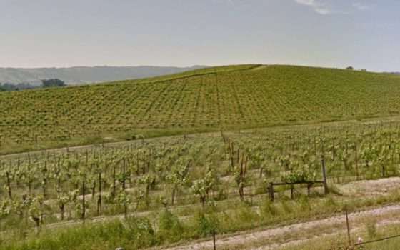 Se riconosci questa collina, probabilmente hai più di 40 anni