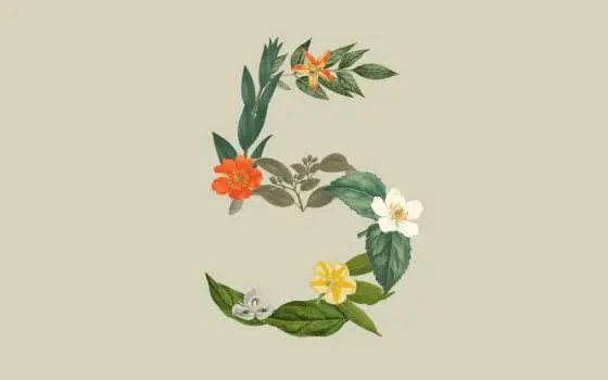 Claude Sonnet 5 rifiuta i compiti e dà consigli fuori luogo