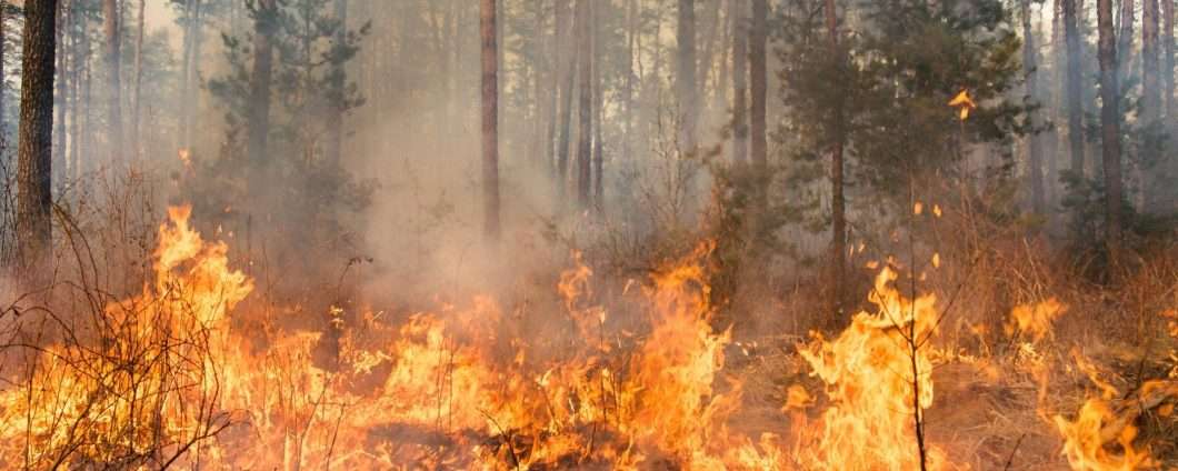 Gli esperti annunciano un 2027 di eventi estremi con l'arrivo di Super El Niño