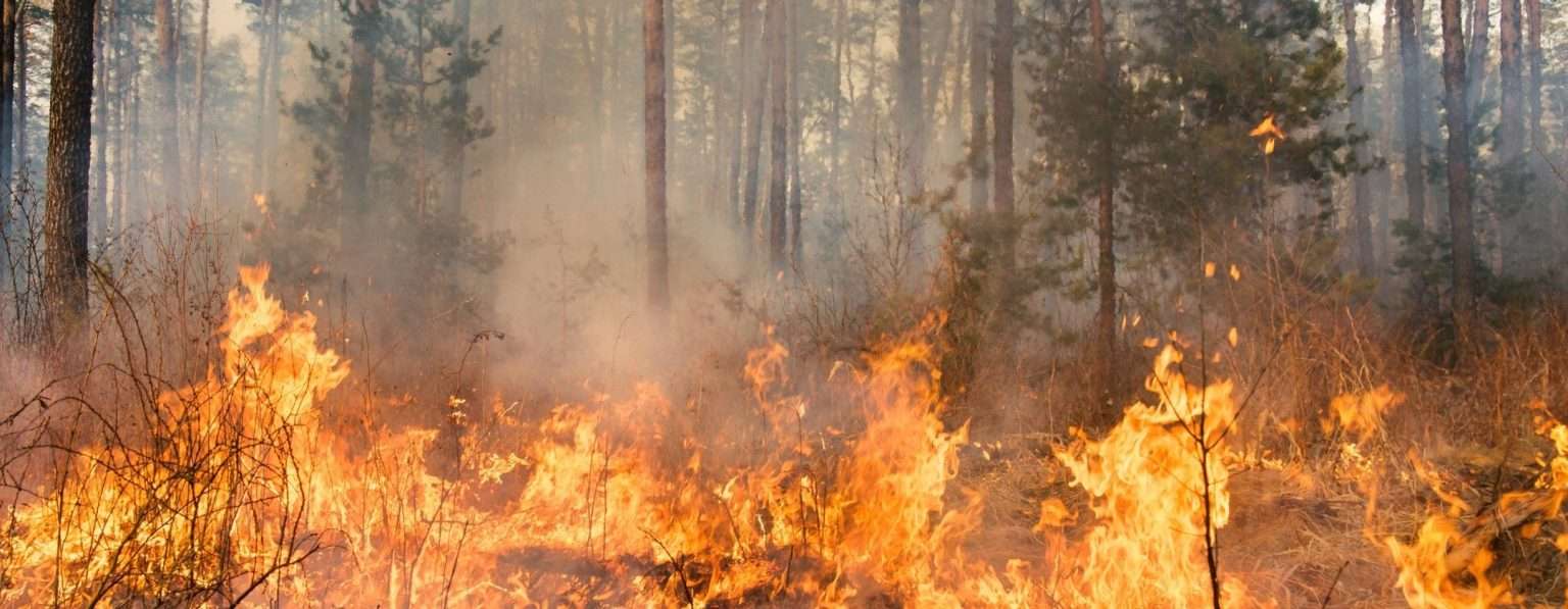 Anteprima: Gli esperti annunciano un 2027 di eventi estremi con l’arrivo di Super El Niño