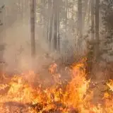 Gli esperti annunciano un 2027 di eventi estremi con l'arrivo di Super El Niño