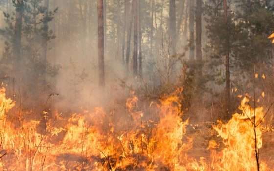 Gli esperti annunciano un 2027 di eventi estremi con l'arrivo di Super El Niño
