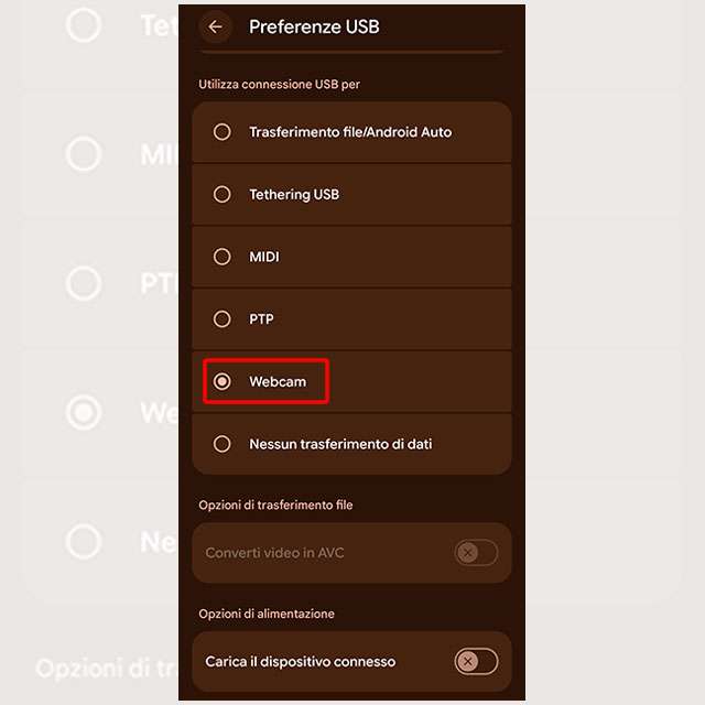 Usare il Google Pixel come webcam sul PC