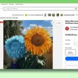 Amazon ed eBay invasi da semi di piante inesistenti create con l'AI