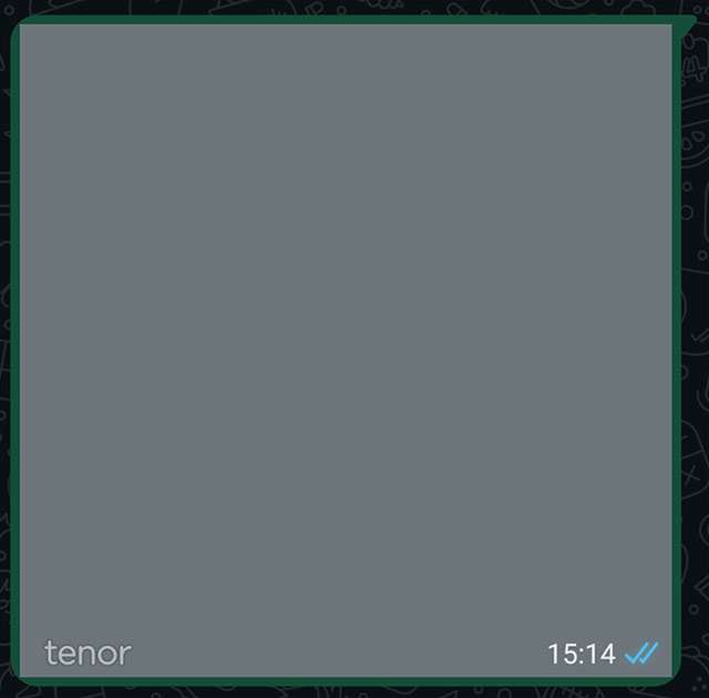 Le vecchie GIF inviate su WhatsApp con Tenor non sono più visualizzate