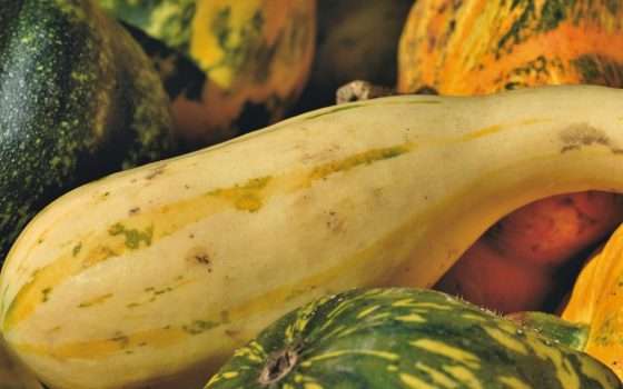Biodiversità a rischio: la scomparsa delle verdure stravolge l'alimentazione