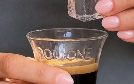 Il caffè è una cosa seria: scopri cialde e capsule Borbone compatibili su eBay