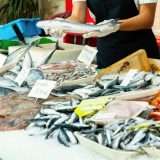 Invisibili e insapore: i metalli pesanti nel pesce che mangiamo