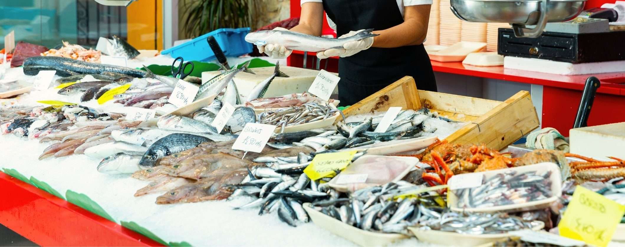 Metalli pesanti nel pesce: rischi per la salute e studio