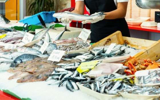 Invisibili e insapore: i metalli pesanti nel pesce che mangiamo