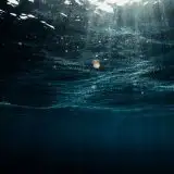 Le microplastiche hanno raggiunto le sorgenti idrotermali di profondità