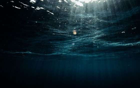 Le microplastiche hanno raggiunto le sorgenti idrotermali di profondità