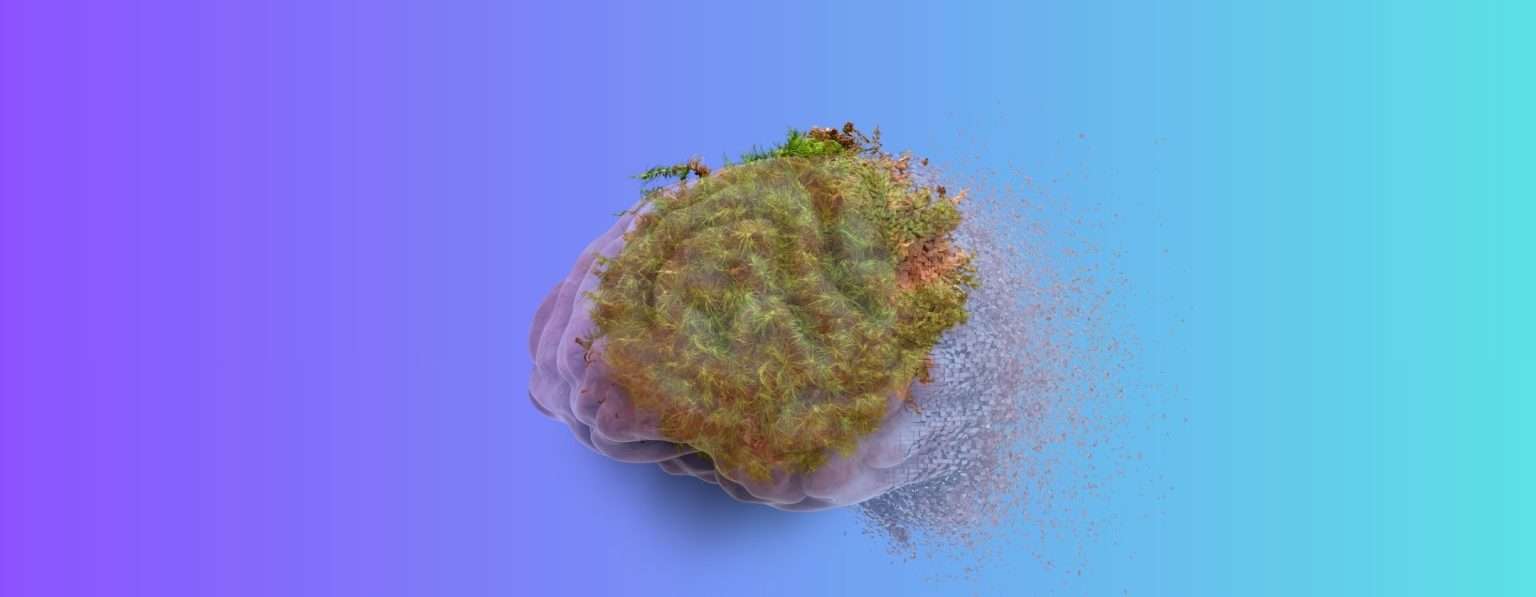 Anteprima: Il muschio sembra possa creare un suo cervello