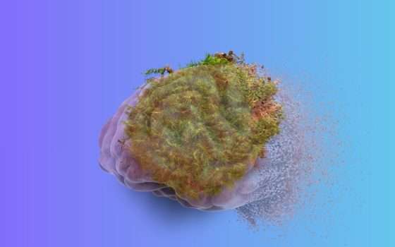 Il muschio sembra possa creare un suo cervello