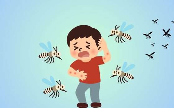Quali sono le persone più attraenti per le zanzare