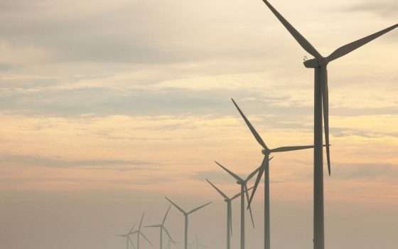 Nuove tariffe Octopus Fissa 12M: prezzi ancora più bassi per luce e gas fino al 22 settembre