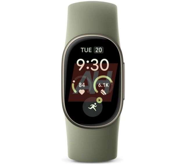 Google Fitbit leak