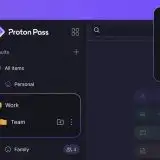 Proton Pass permette di organizzare i vault in cartelle