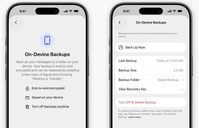 Signal backup locale