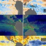 El Niño sta cambiando il colore dell'oceano