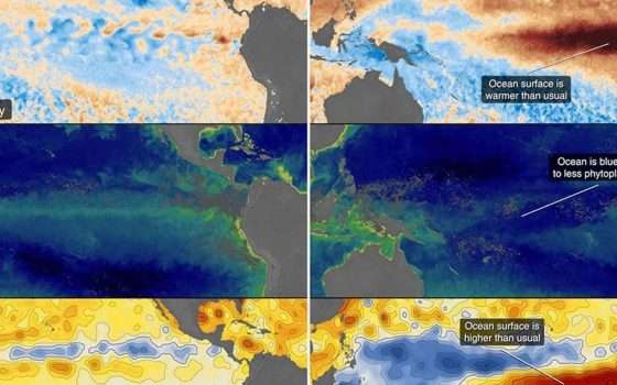 El Niño sta cambiando il colore dell'oceano