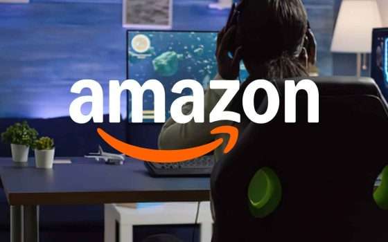 Il monitor perfetto lo trovi su Amazon
