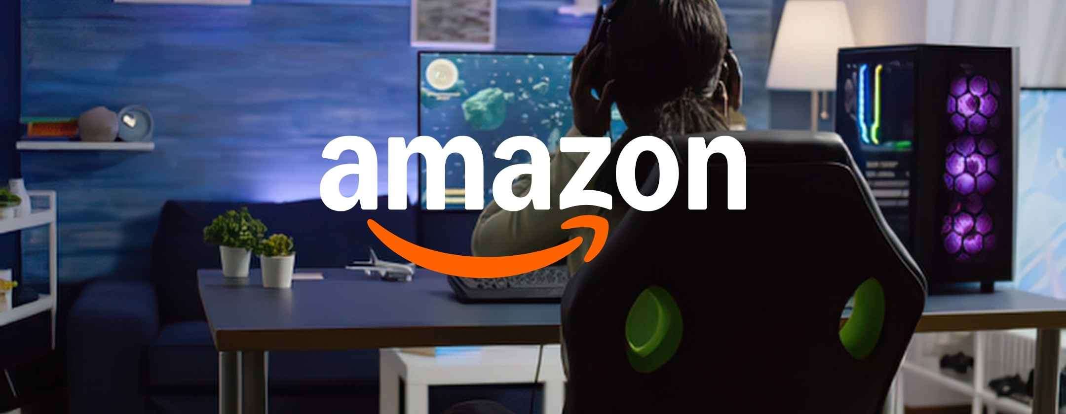 Il monitor perfetto lo trovi su Amazon