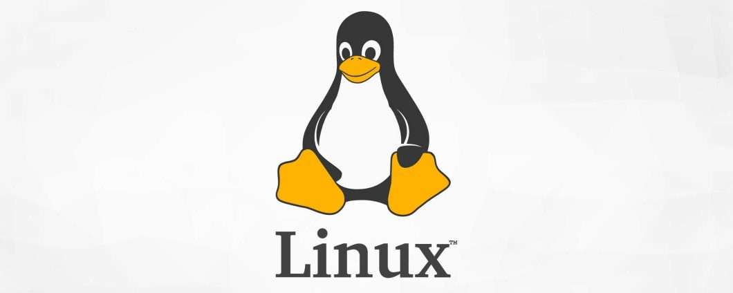 Linus Torvalds usa Claude Code per ottimizzare Linux, la svolta