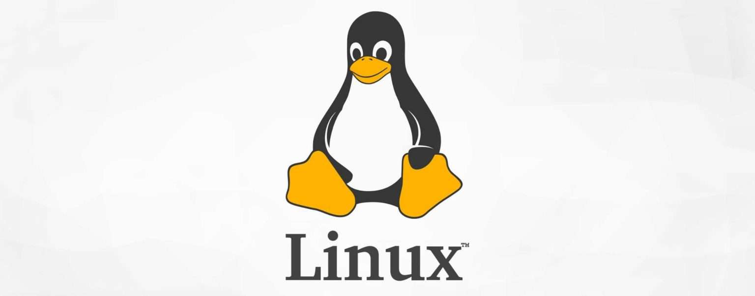 Anteprima: Linus Torvalds usa Claude Code per ottimizzare Linux, la svolta