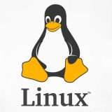 Linus Torvalds usa Claude Code per ottimizzare Linux, la svolta